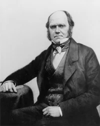 Retrato de Charles Darwin, 1854